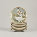 1312 8364 PLATES